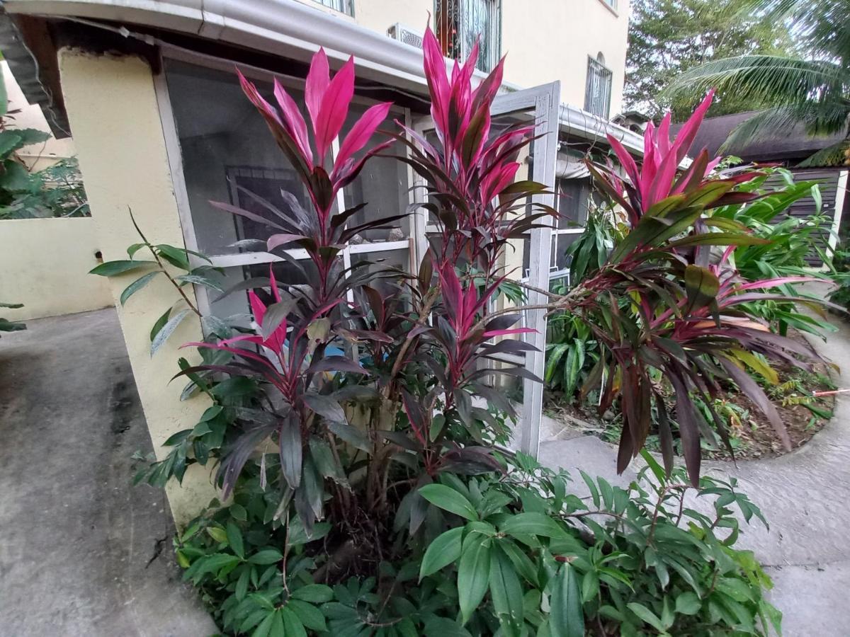 Roatan Backpackers' Hostel Sandy Bay Exterior foto